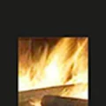 Logo Ofen Baule