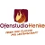 Logo Ofenstudio Henke