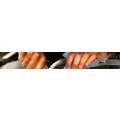 Logo Oldenburg Sievers GmbH