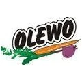 Logo OLEWO GmbH