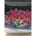 Oliver Kraatz G&auml;rtnerei Gartenbau Wustrau