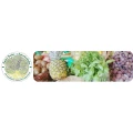 Logo Onkel Dieters Naturkostladen