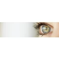 Logo Optik Brillenstudio Wiegand