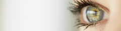 Logo Optik Brillenstudio Wiegand Augenoptik
