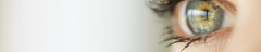 Logo Optik Fischer