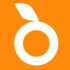 Logo Orange Island