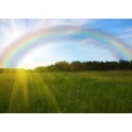 Logo Organisation Regenbogen Margarete Wenzel