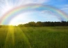 Logo Organisation Regenbogen Margarete Wenzel