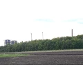 Orion Engineered Carbons GmbH K&ouml;ln