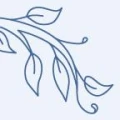 Logo Orthop&auml;die am Rosengarten
