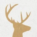 Logo Wohlf&uuml;hlhotel Ortnerhof