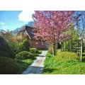 Eingang Ostsee Hotel-Pension