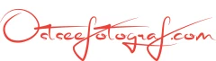 Logo Ostseefotograf.com