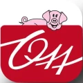 Logo Ott Metzgerei GmbH Co. KG Horst