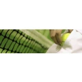 Logo Tennisclub Ottersberg