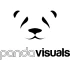 Logo Pandavisuals