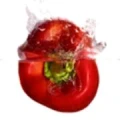 Logo Paprika am Ring