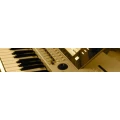 Logo PARADISE intern. Tanz & Showband Hans Dauser