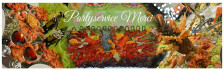 Logo Partyservice Merci Adelina Helbling