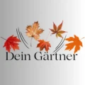Pascal Muschinski Dein G&auml;rtner Remagen