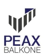 Logo Peax Balkone Klaus Peter Lütticke & Axel Henkel