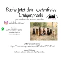 PedaDOGical Hundetraining Ulm