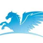 Logo Pegasus Reparaturservice