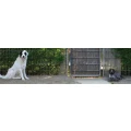 Logo Peggys-Hunde-Halter-Forum