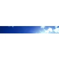 Logo Pension Wedding