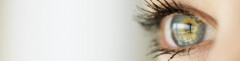 Logo Perdita Ziesmann Optik