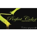 Perfect Color Malermeister P.Ranft Berlin
