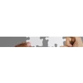 Logo PERLE IT CONCEPT  Robert Perle