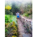 Lauftraining in Stuttgart