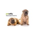 Logo PETADILLY GmbH