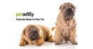 Logo PETADILLY GmbH