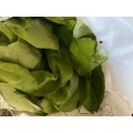 Peter Bach Obst- und Gem&uuml;segesch&auml;ft Neunkirchen