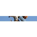 Logo Peter Sch&uuml;ller & Sohn