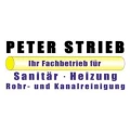 Logo Strieb, Peter