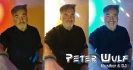 Logo Peter Wulf Musiker