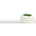 Logo Petersdorf Ren&eacute; - Ferienwohnung