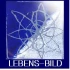 Logo Petra B. Klein Ganzheitliches Coaching, energetische Transformation