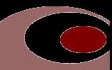 Logo Petra Luipold Martin Fotodesign