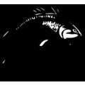 Logo Petri - Der Angelladen