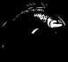Logo Petri - Der Angelladen