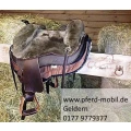 Pferd mobil Geldern