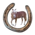 Logo Pferde- und Reithof Stockmann