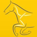 Logo Pferdepraxis Michael Oberth&uuml;r Fachtierarzt f&uuml;r Pferde