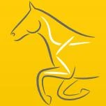 Logo Pferdepraxis Michael Oberthür Fachtierarzt für Pferde