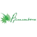 Logo Pflanzenb&ouml;rse GmbH