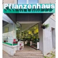 Eingang Nr.1
